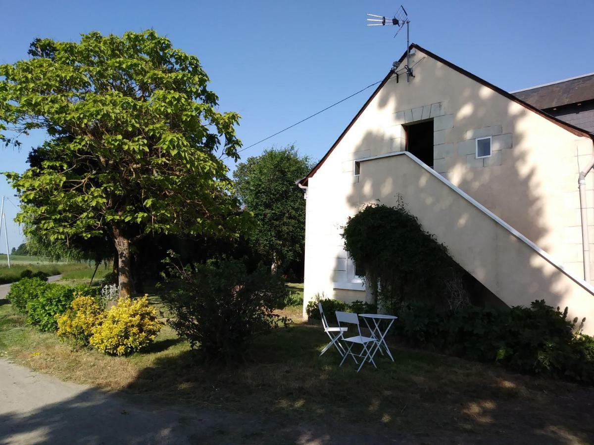 Les Hautes Mougonnieres Neuil Exteriér fotografie